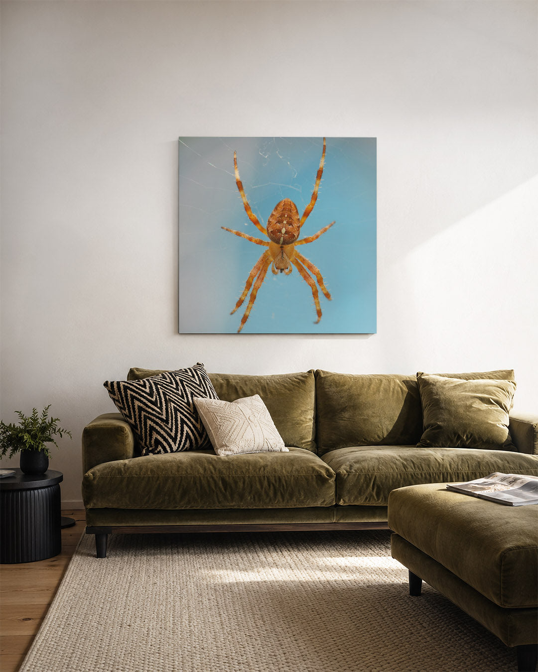 Natuurlijke spin kunstwerk – derde productweergave – een close-up van een spin met een oranje lichaam en lange poten, tegen