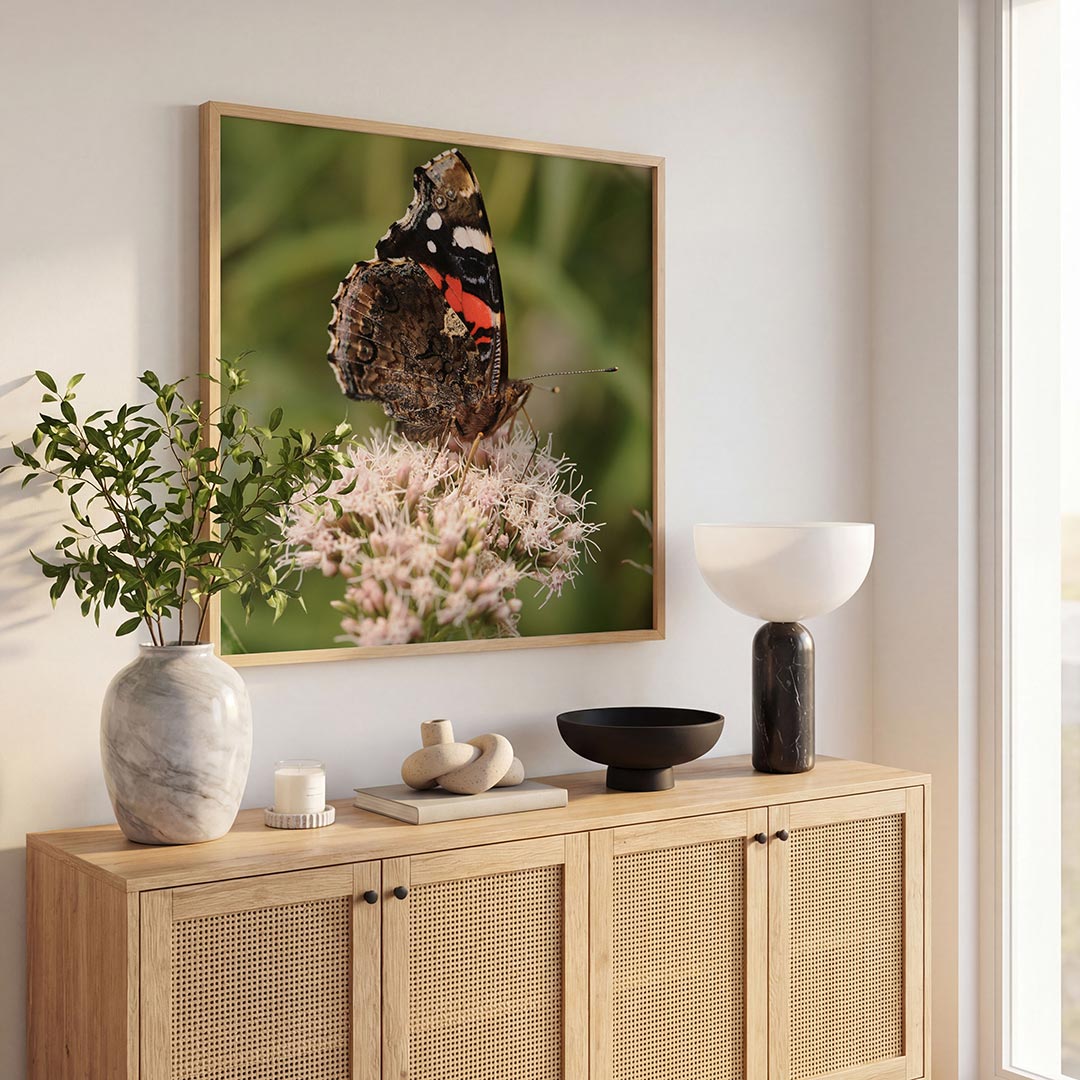 Vlinder op bloem poster – tweede productweergave – deze poster toont een vlinder met gedetailleerde vleugels op een delicate
