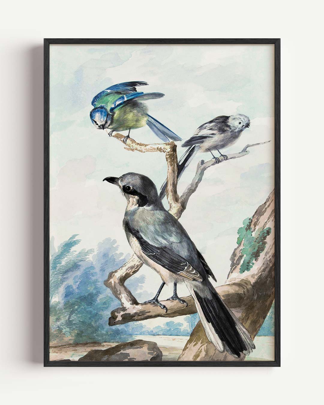 Vrolijke Vogels in de Natuur – Popart en Streetart portret poster als wanddecoratie