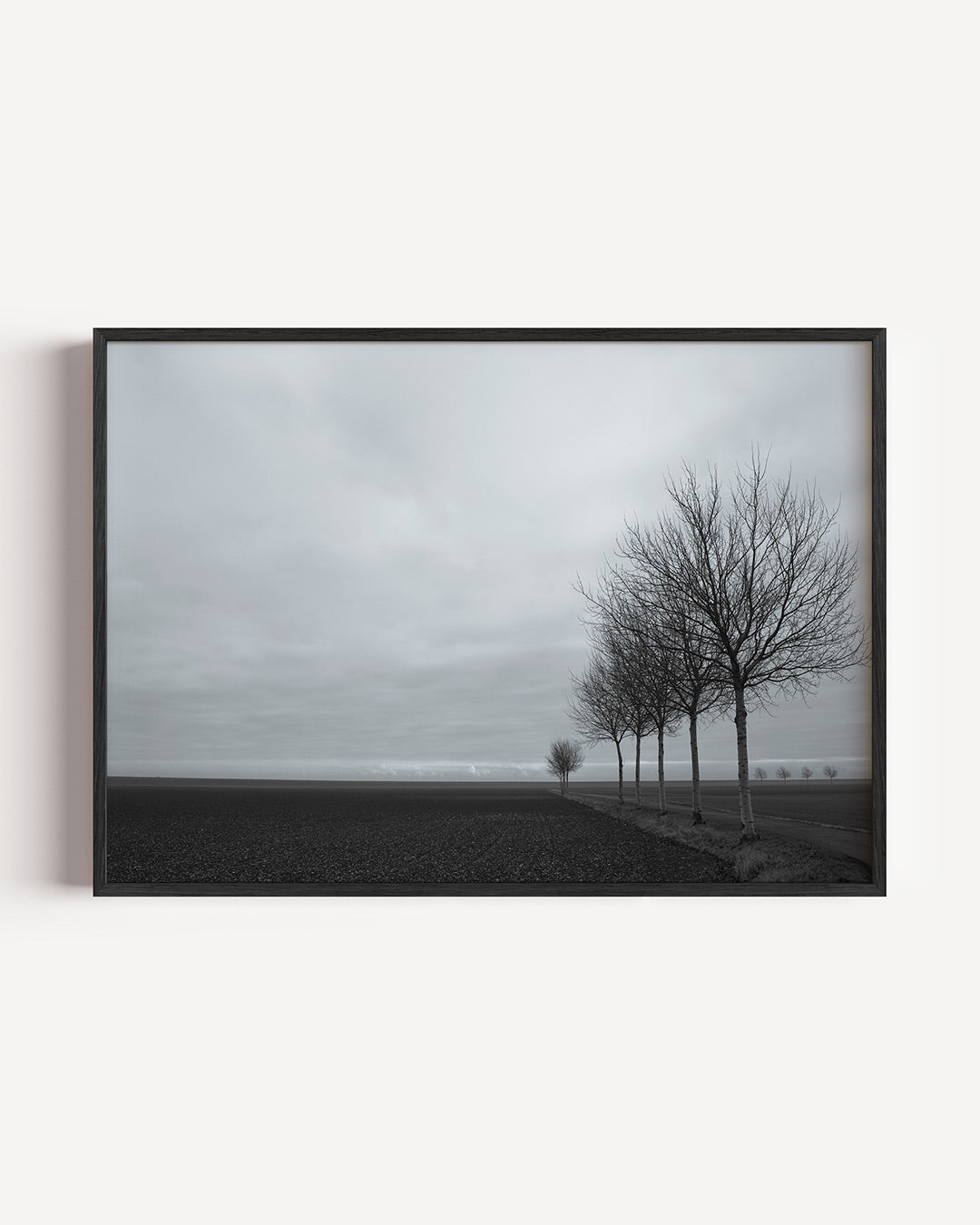 Landschap met bomen poster – liggende wanddecoratie – een rij kale bomen langs een pad in een uitgestrekt landschap onder een