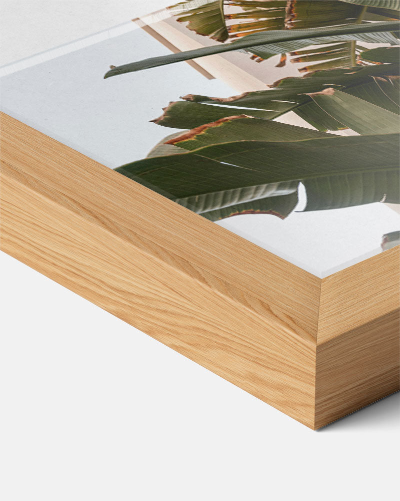 Tropical Jungle Bladeren – staande muurposter met zomerse uitstraling