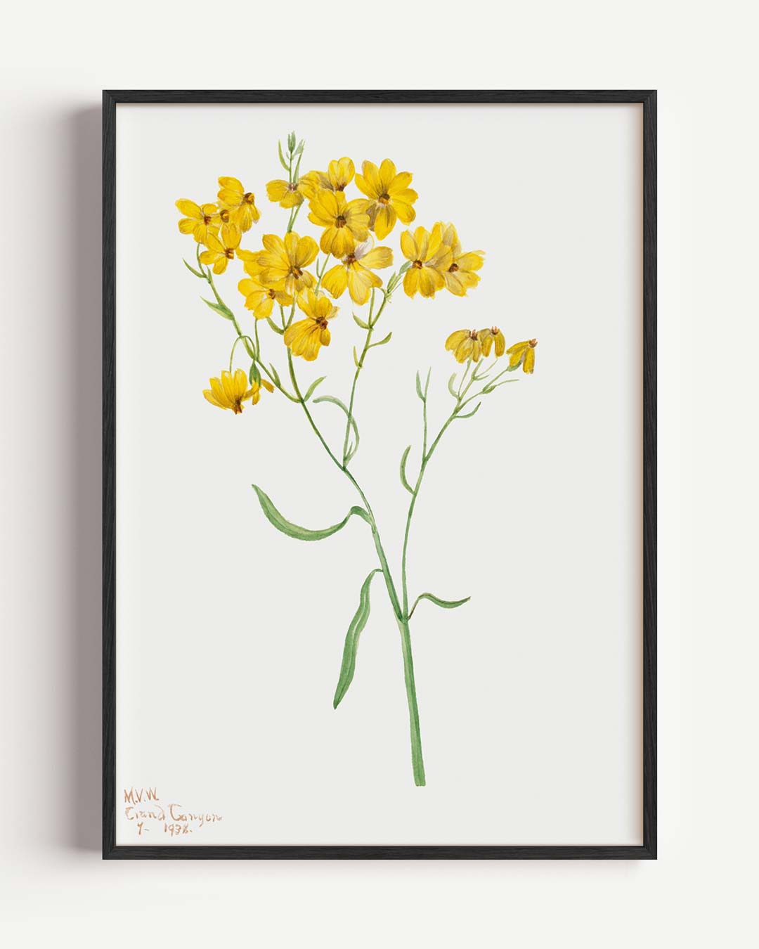 Zonnige Bloemen Illustratie – Popart en Streetart portret poster als wanddecoratie
