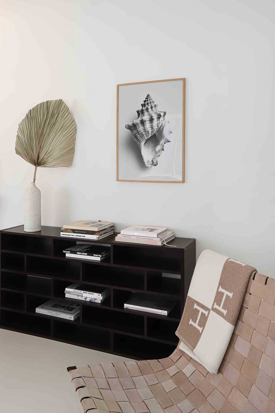 Schelp – staande natuur wanddecoratie van WallArtistic