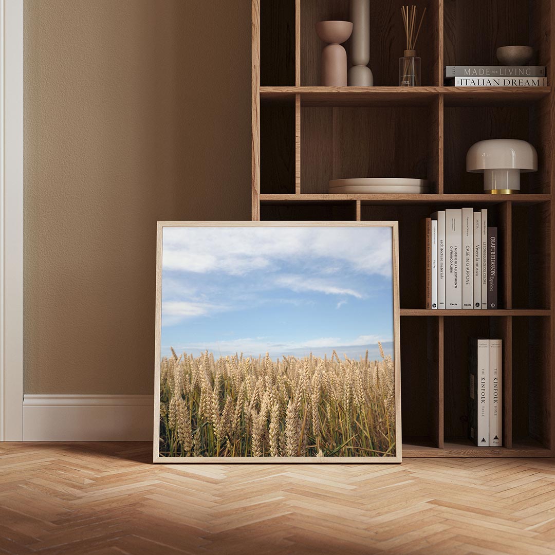 Gouden tarweveld poster – derde productweergave – deze poster toont een uitgestrekt tarweveld onder een heldere blauwe hemel.