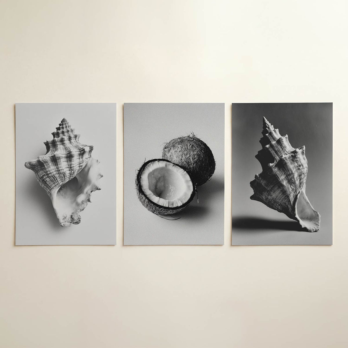 Schelpenstructuur driedelige posterset in interieur