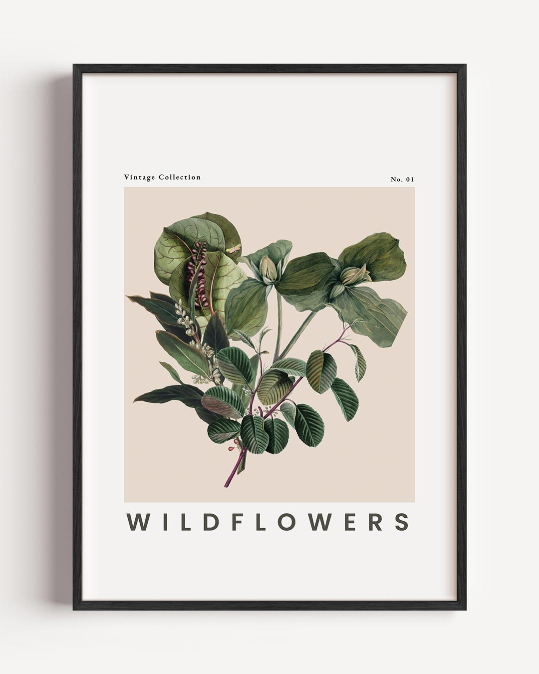 Vintage Botanische Wildflowers – botanische portret poster als wanddecoratie
