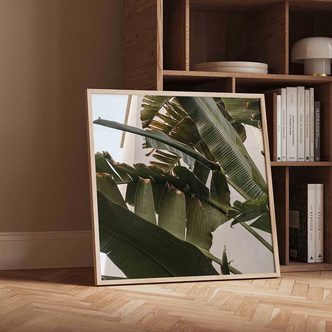 Bananenbladeren – moderne wandkunst met kleur en vormen als poster