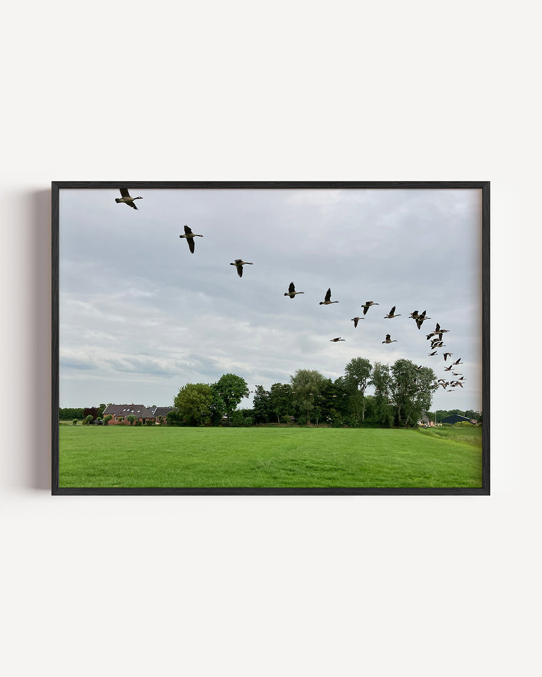 Vliegende vogels poster – liggende wanddecoratie – een groep vogels vliegt in formatie over een uitgestrekt groen veld met