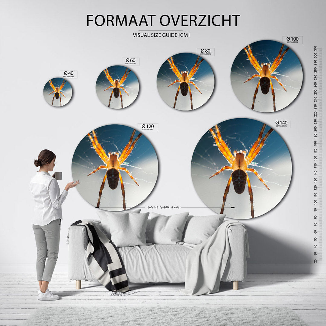 Spin in web – ronde wanddecoratie met fotografie