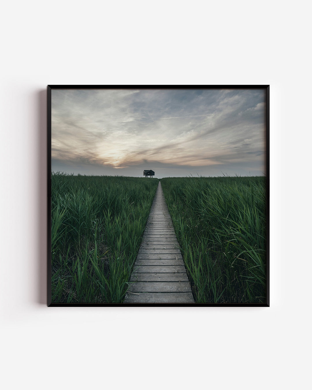 Rustige wandelpad poster – vierkante wanddecoratie – een houten pad leidt door weelderig groen gras naar een eenzame hut