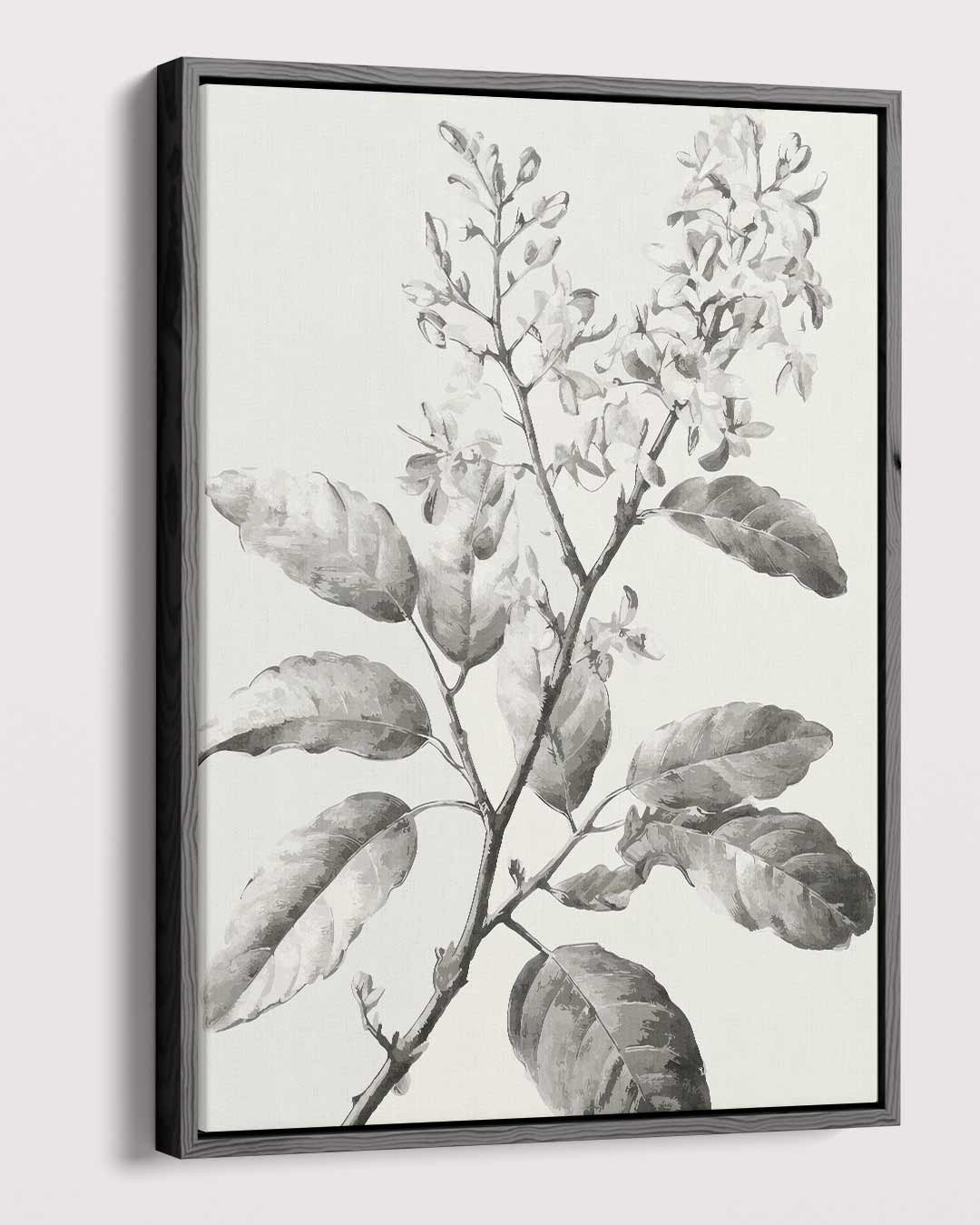 Botanische Schets in Zwart-Wit – dibond kunstwerk als wanddecoratie