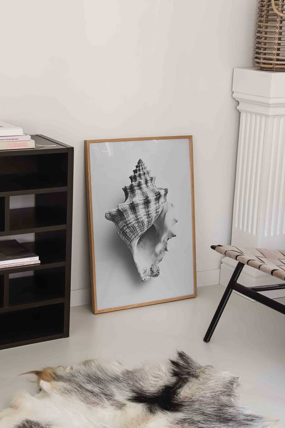 Schelp – natuurlijke wandkunst als portret poster