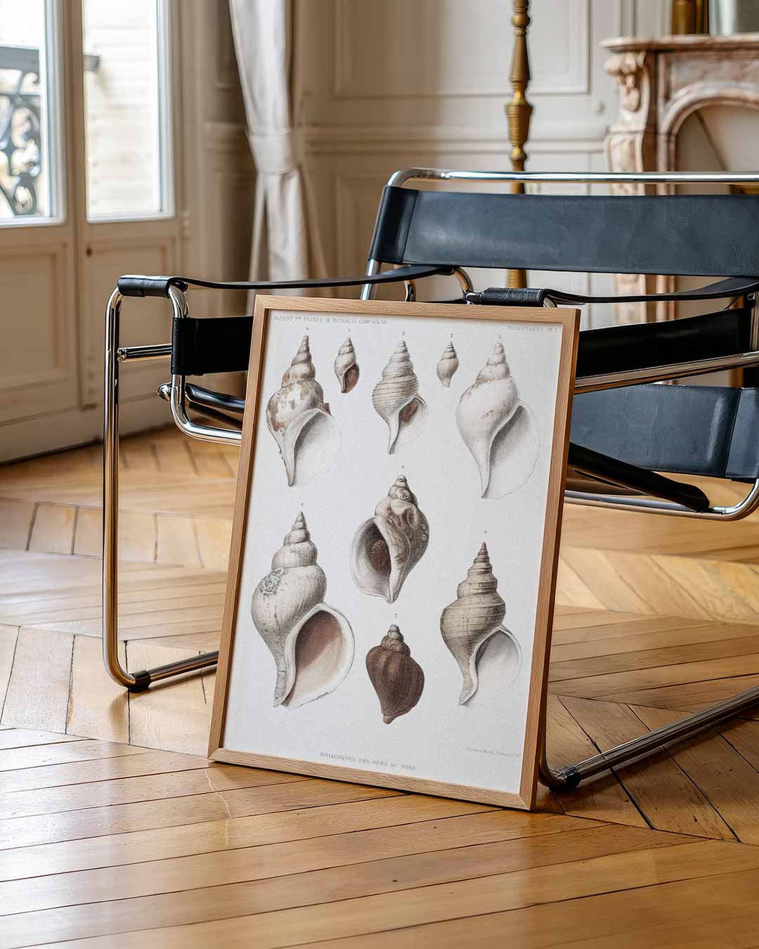 Elegante Schelpenillustratie – klassieke wandkunst als portret poster