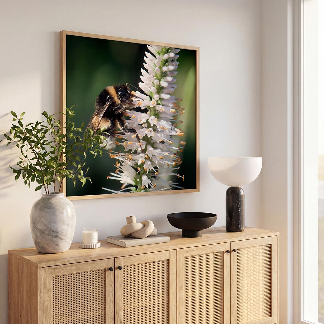 Bij op bloem poster – tweede productweergave – deze poster toont een bij op een witte bloem met delicate details. De
