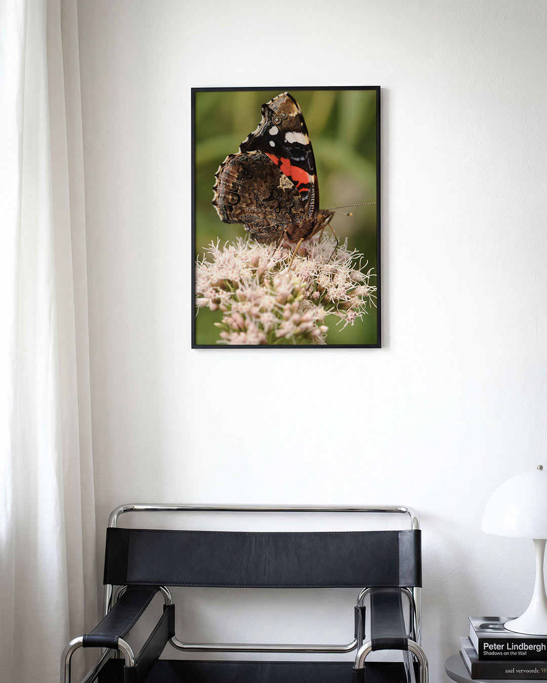 Vlinder op bloem poster – derde productweergave – deze poster toont een gedetailleerde close-up van een vlinder op een bloem