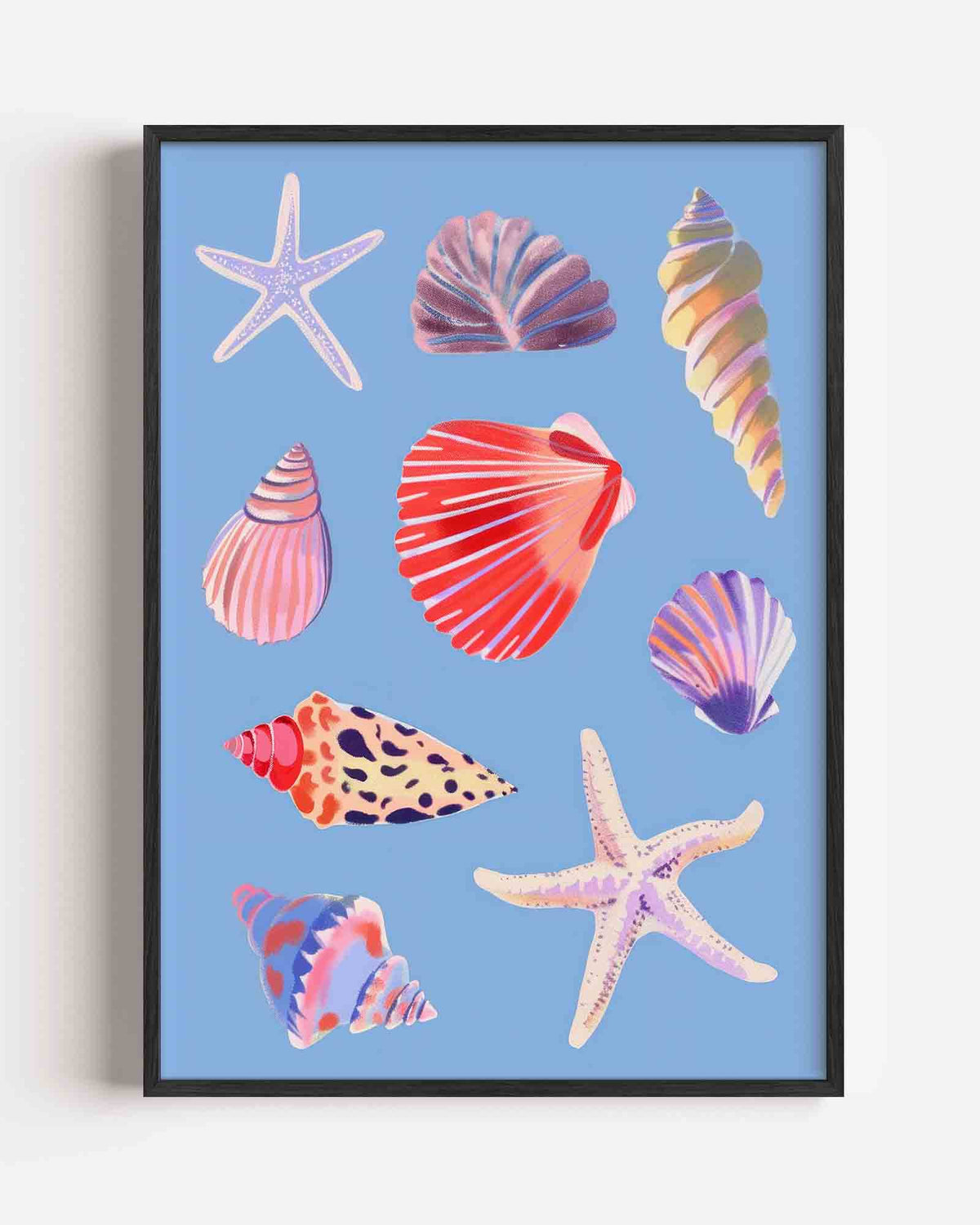 Schelpen en zeesterren – kleurrijke illustratie portret poster als wanddecoratie