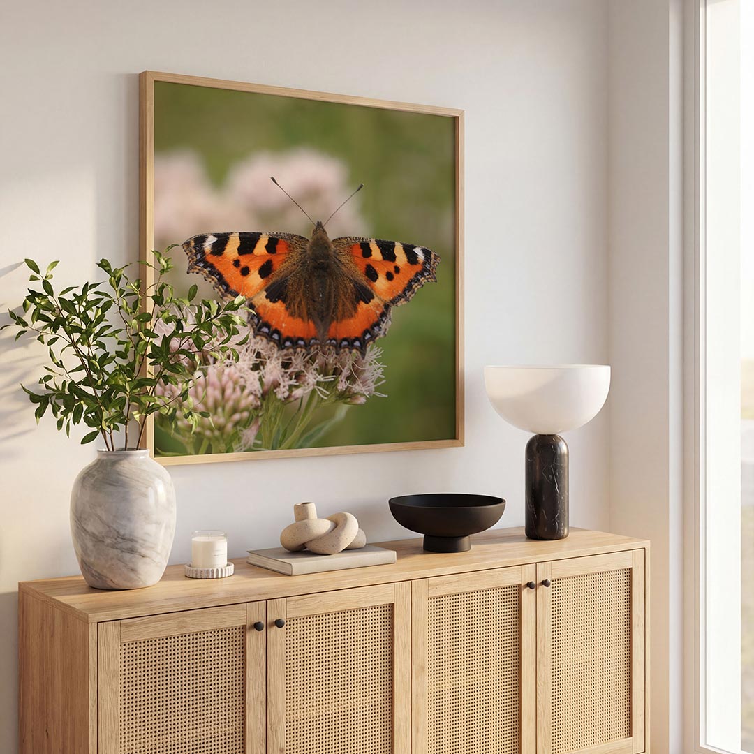 Vlinder op bloem poster – tweede productweergave – een kleurrijke vlinder met oranje en zwarte vleugels rust op een delicate