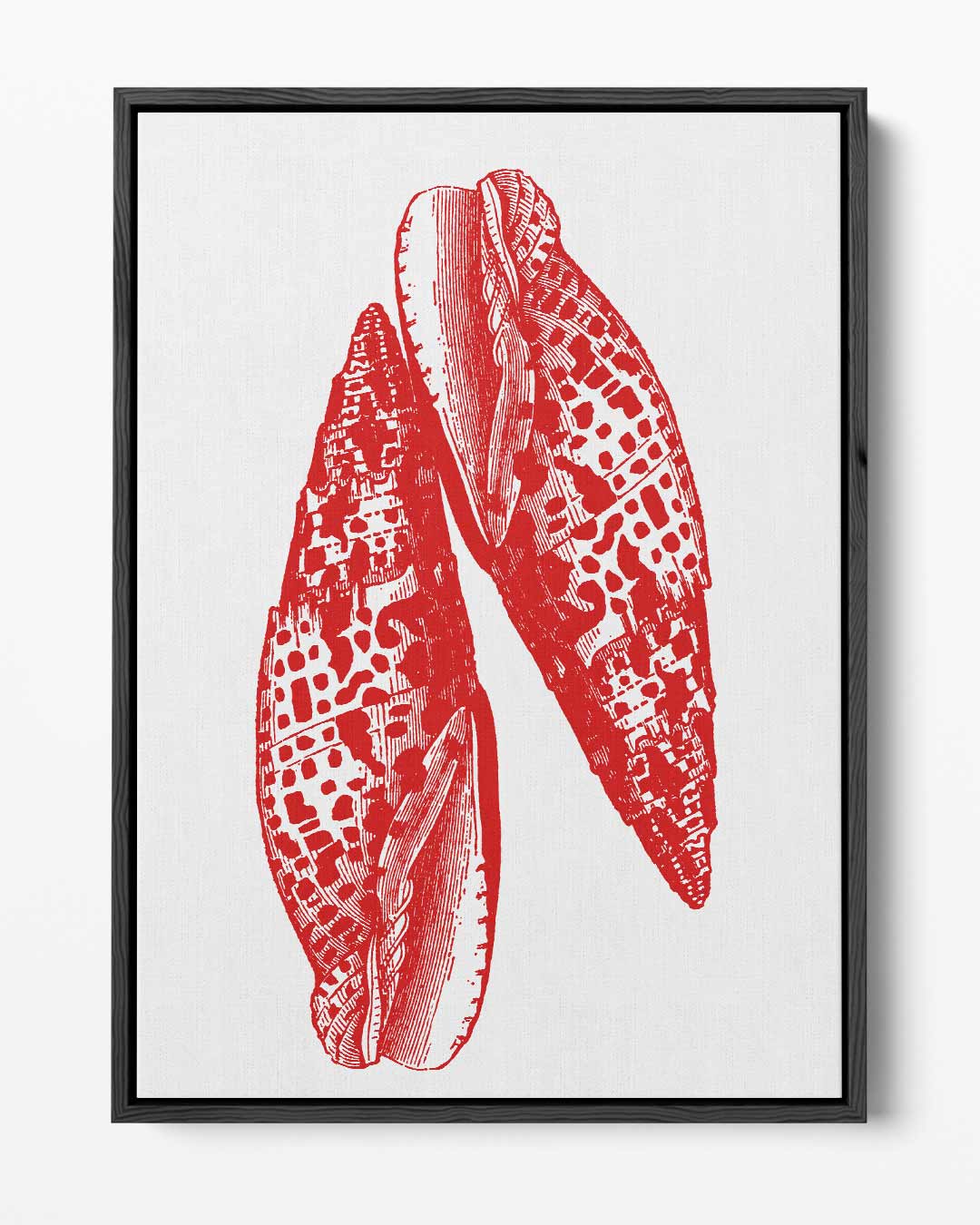 Rode Zee Schelpenprint – portret kunstwerk als wanddecoratie