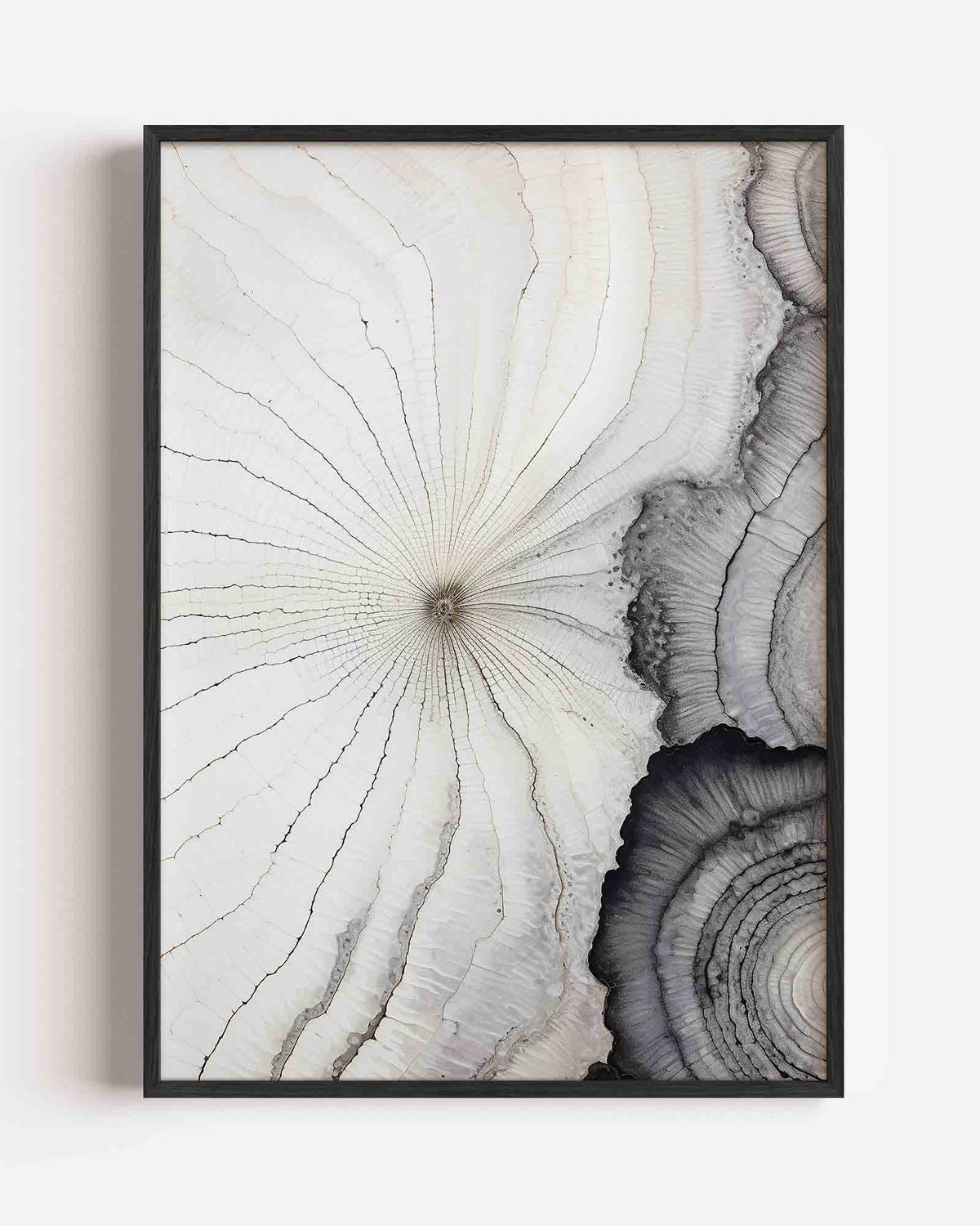 Houtnerf en ringen – zacht abstracte portret poster als wanddecoratie