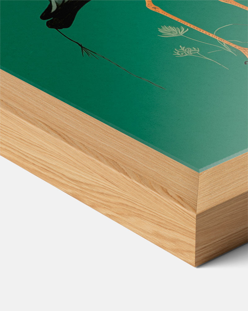 Elegante Kraanvogel op Groene Achtergrond – dierenillustratie als portret poster