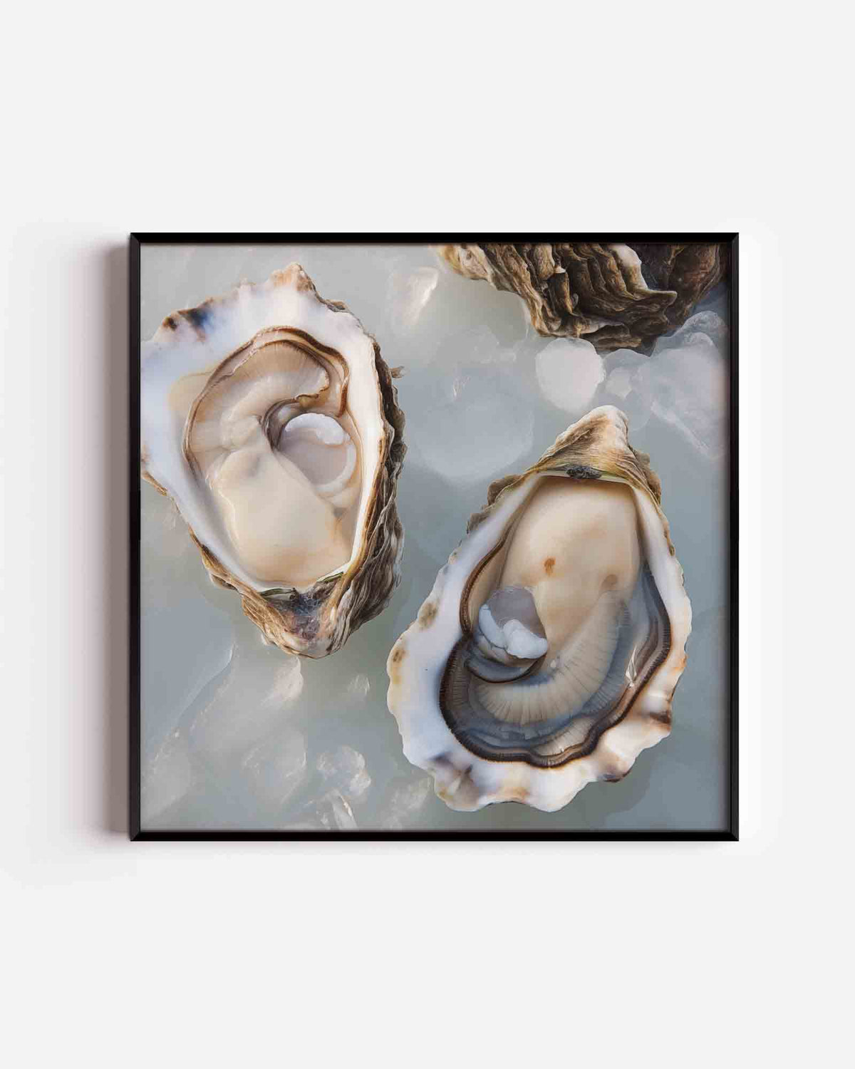 Open oesters op ijs – keuken vierkante poster als wanddecoratie