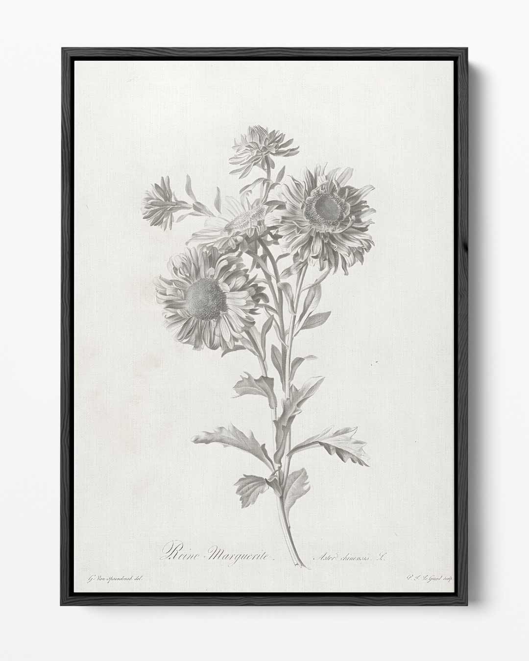 Klassieke Bloemstilleven Illustratie – portret kunstwerk als wanddecoratie
