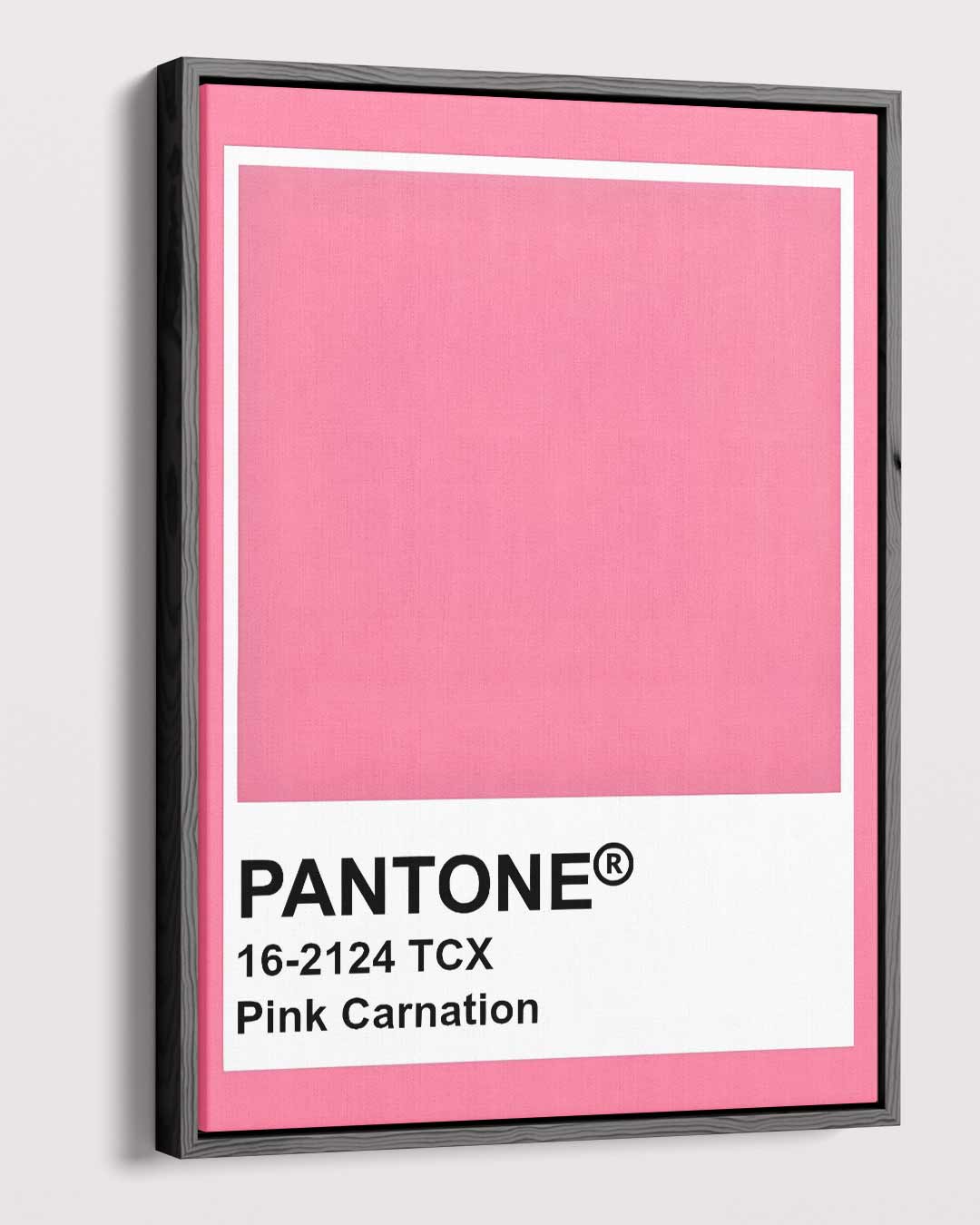 Roze Carnation Canvas – plexiglas wanddecoratie in portret formaat