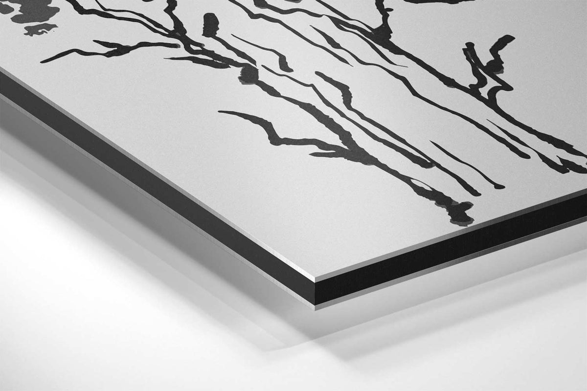 Zwart-wit Bospracht – canvas kunstwerk als wanddecoratie