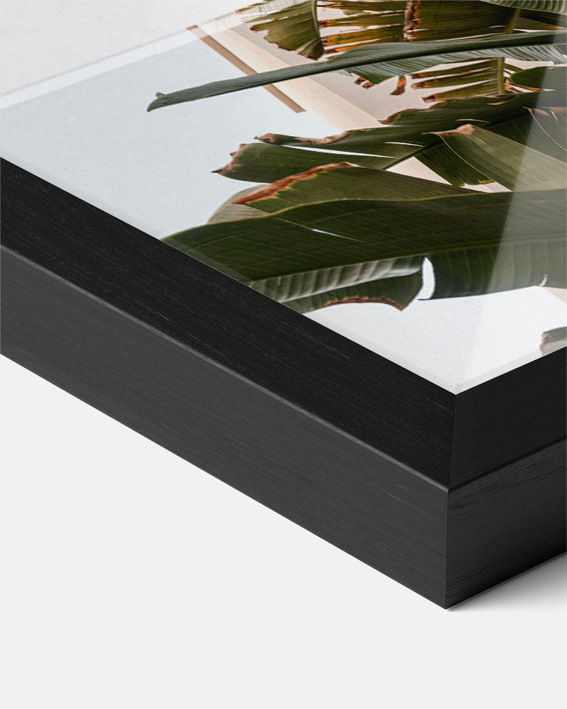 Tropical Jungle Bladeren – zomer poster als frisse staande wanddecoratie