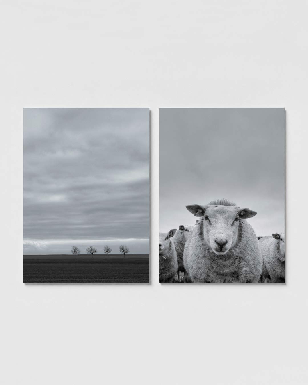 Lijnenspel en stilte posterset – sfeerbeeld – vier kale bomen staan in een rij onder een bewolkte hemel. De horizon scheidt
