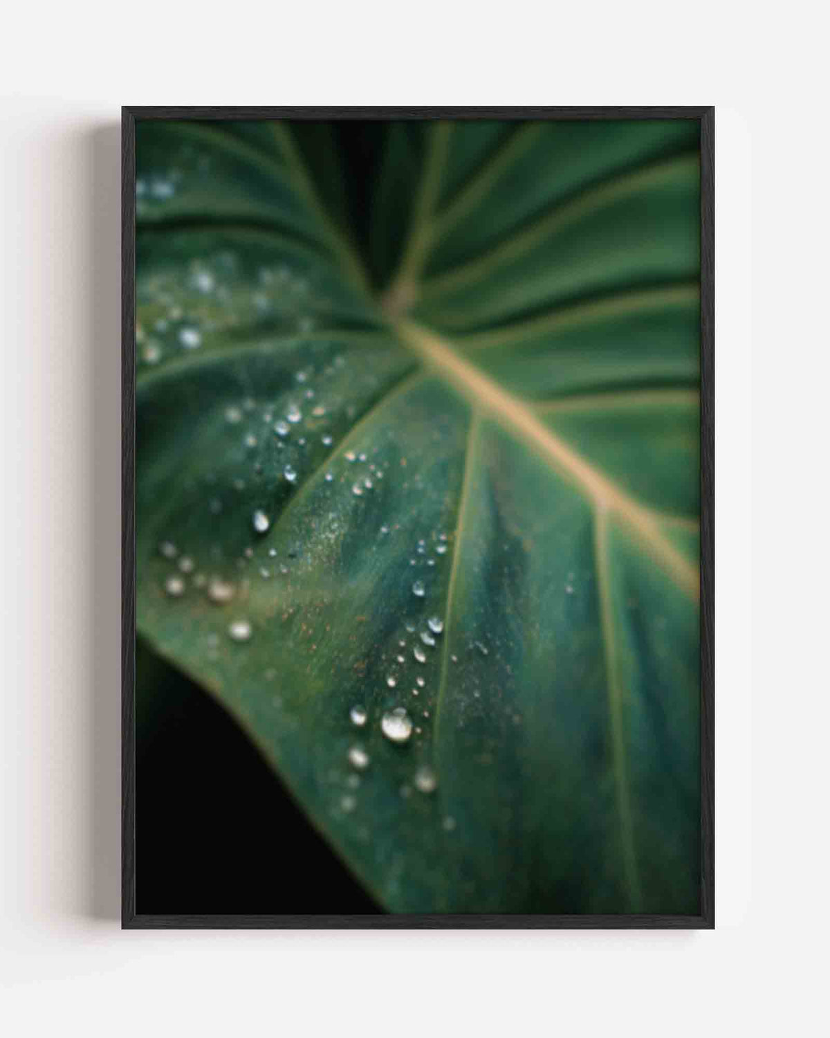 Groen blad met dauwdruppels – jungle portret poster als wanddecoratie
