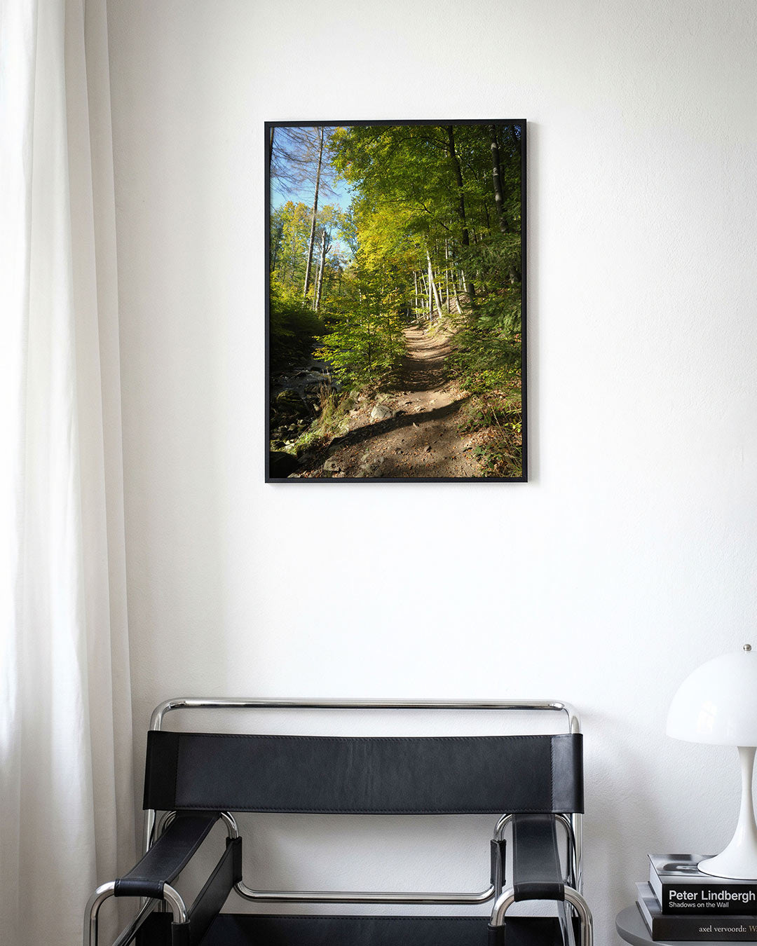 Boswandeling zonnig pad poster – derde productweergave – een zonnig bospad omringd door hoge bomen en groene bladeren. Het