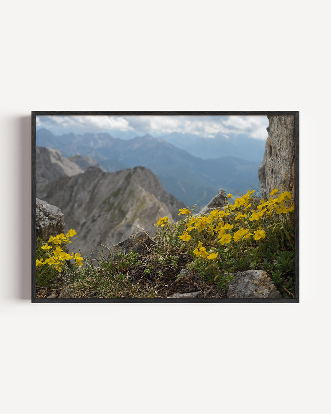 Berglandschap met bloemen poster – liggende wanddecoratie – deze poster toont een berglandschap met gele bloemen op de