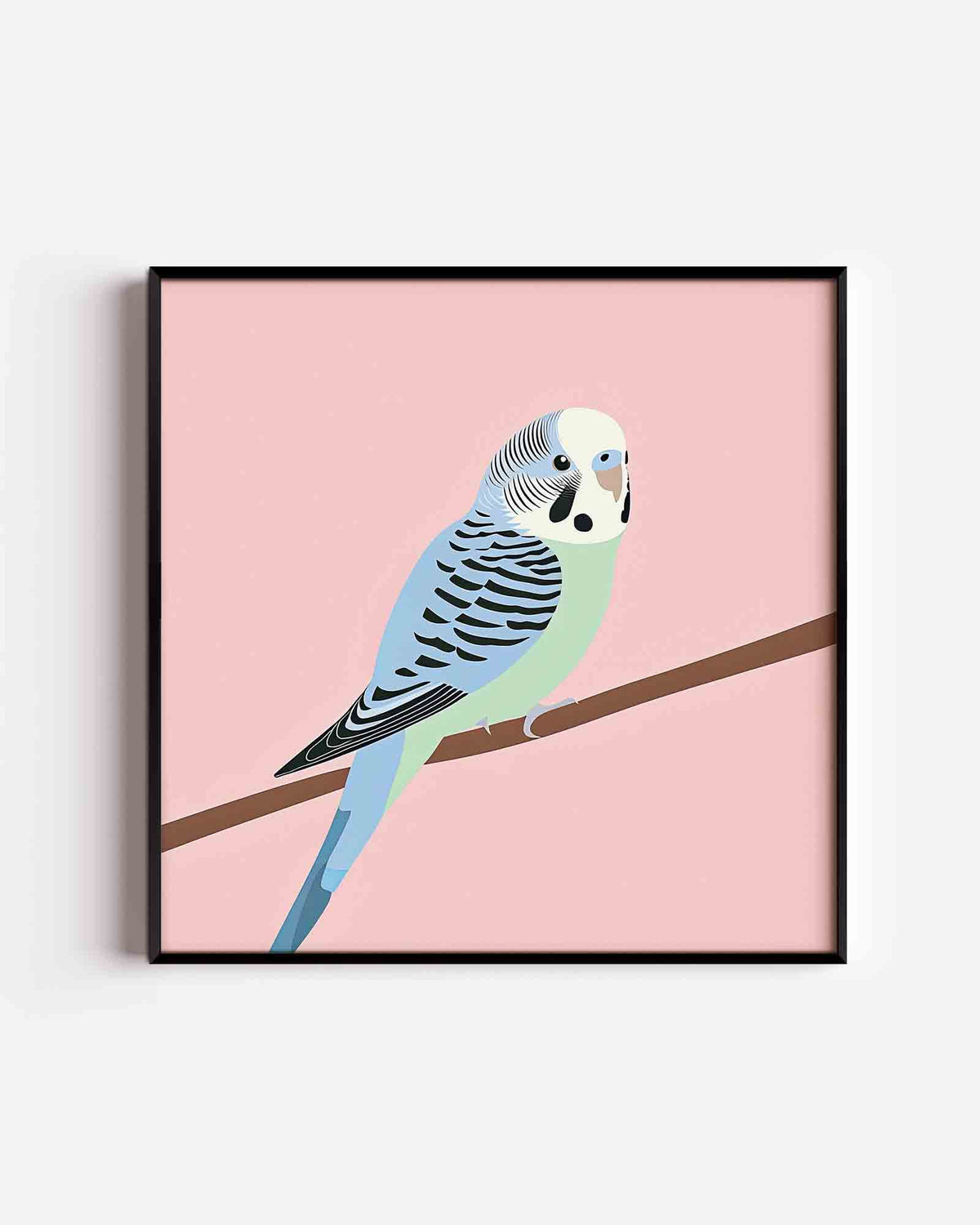 Parkiet op tak – vierkante dierenposter als wanddecoratie