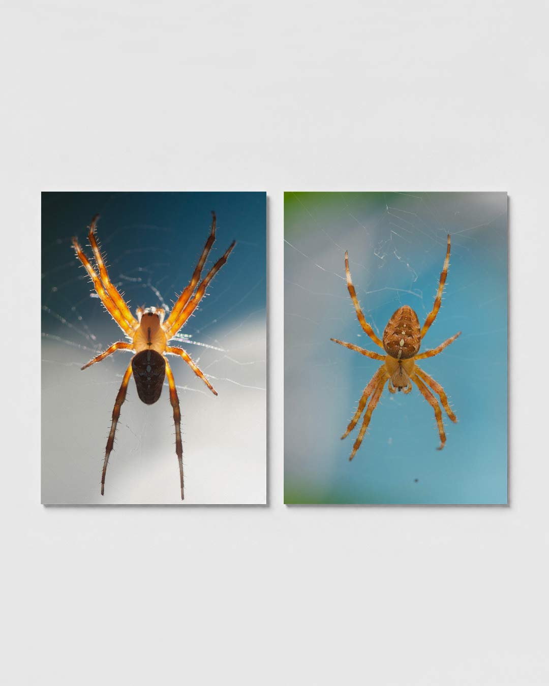 Abstract posterset – sfeerbeeld – een abstracte posterset met donkere tinten en een rustige visuele opbouw.