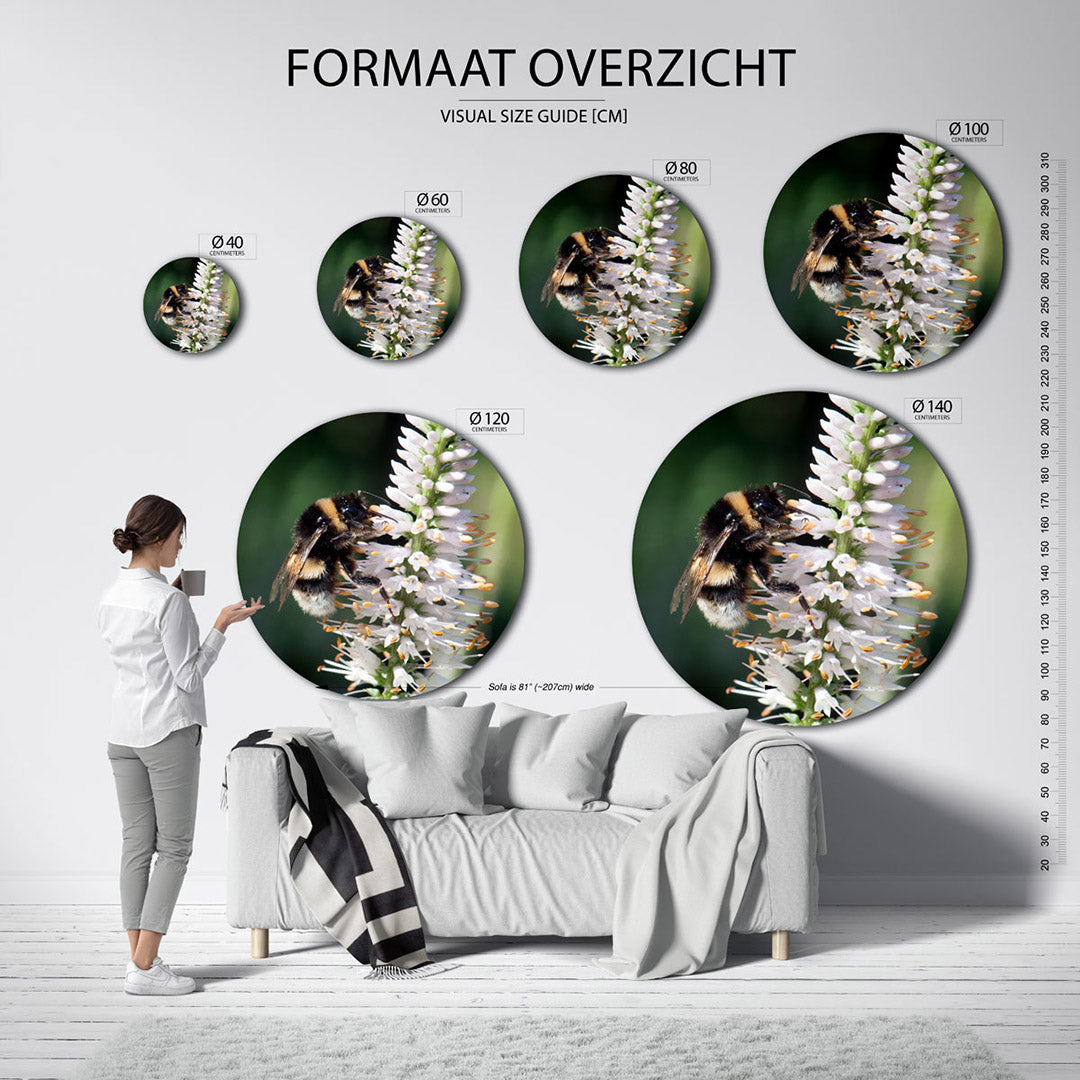 Bij op witte bloem – ronde wanddecoratie met fotografie