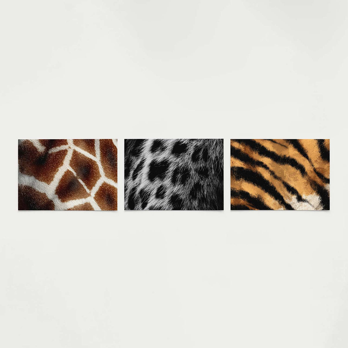 Vorm en textuur Posterset