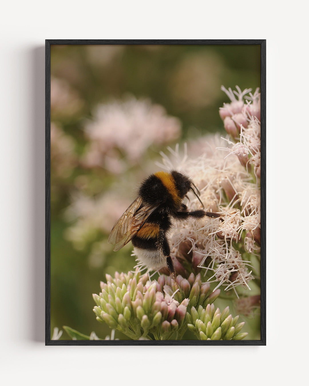 Bij op bloem poster – portret wanddecoratie – een bij zit op een bloem, omringd door delicate bloemblaadjes en groene