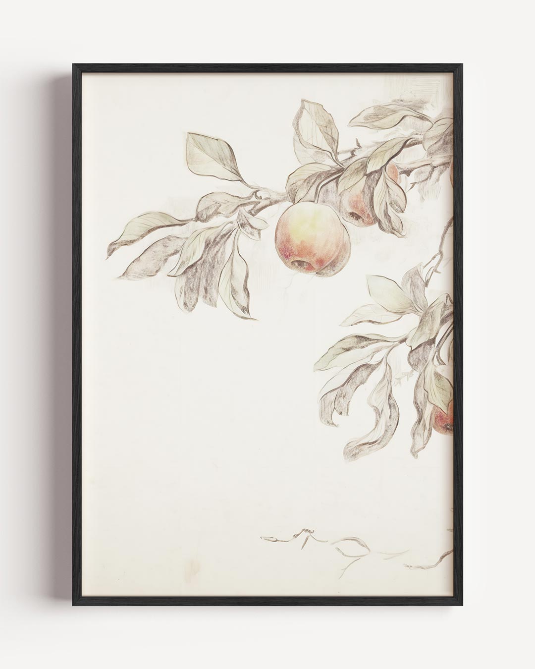 Elegante Bloesem Tekening – vintage portret poster als wanddecoratie