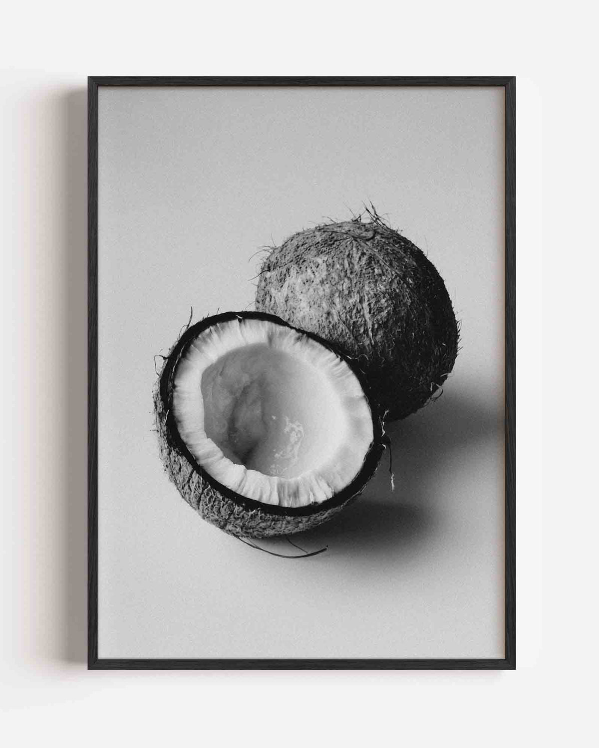 Kokosnoot zwart wit – natuur portret poster als wanddecoratie