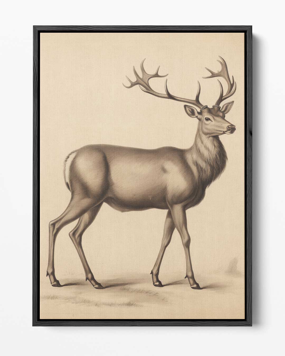 Elegante Hert in Potlood – portret kunstwerk als wanddecoratie