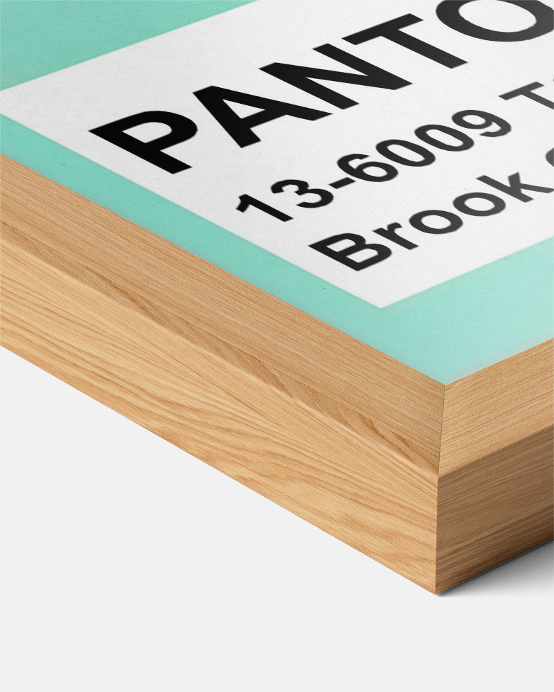 Verfrissende Pantone – pop art streetart portret poster, afbeelding 7