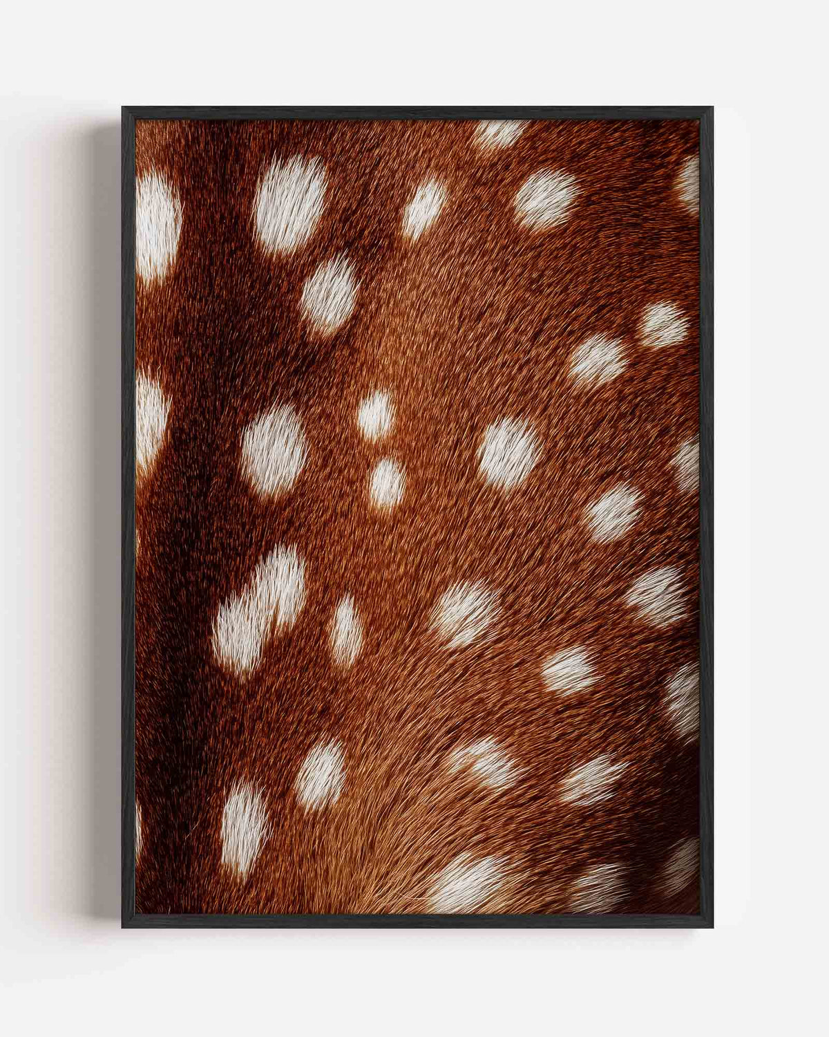 Bruine vacht met witte stippen – safari portret poster als wanddecoratie