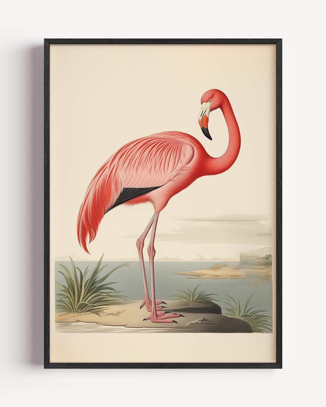 Elegante Flamingo Illustratie – dieren portret poster als wanddecoratie