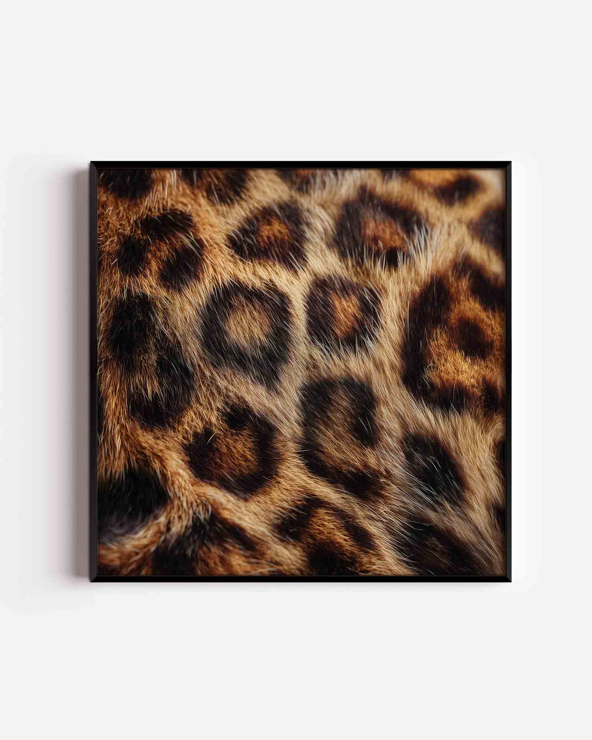 Luipaardprint – jungle vierkante poster als wanddecoratie