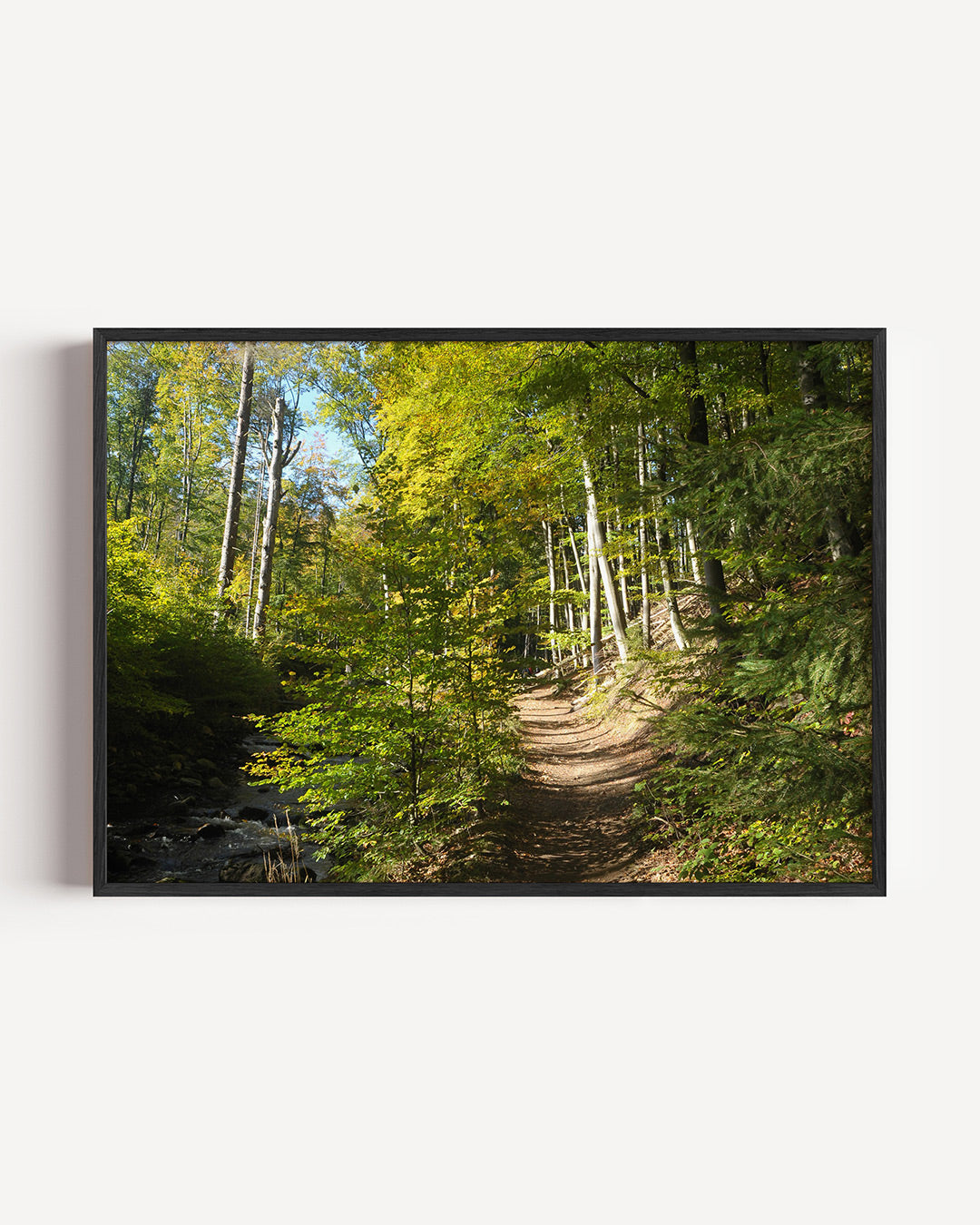 Boswandeling pad poster – liggende wanddecoratie – een zonnig pad omringd door hoge bomen en groene bladeren. Het licht