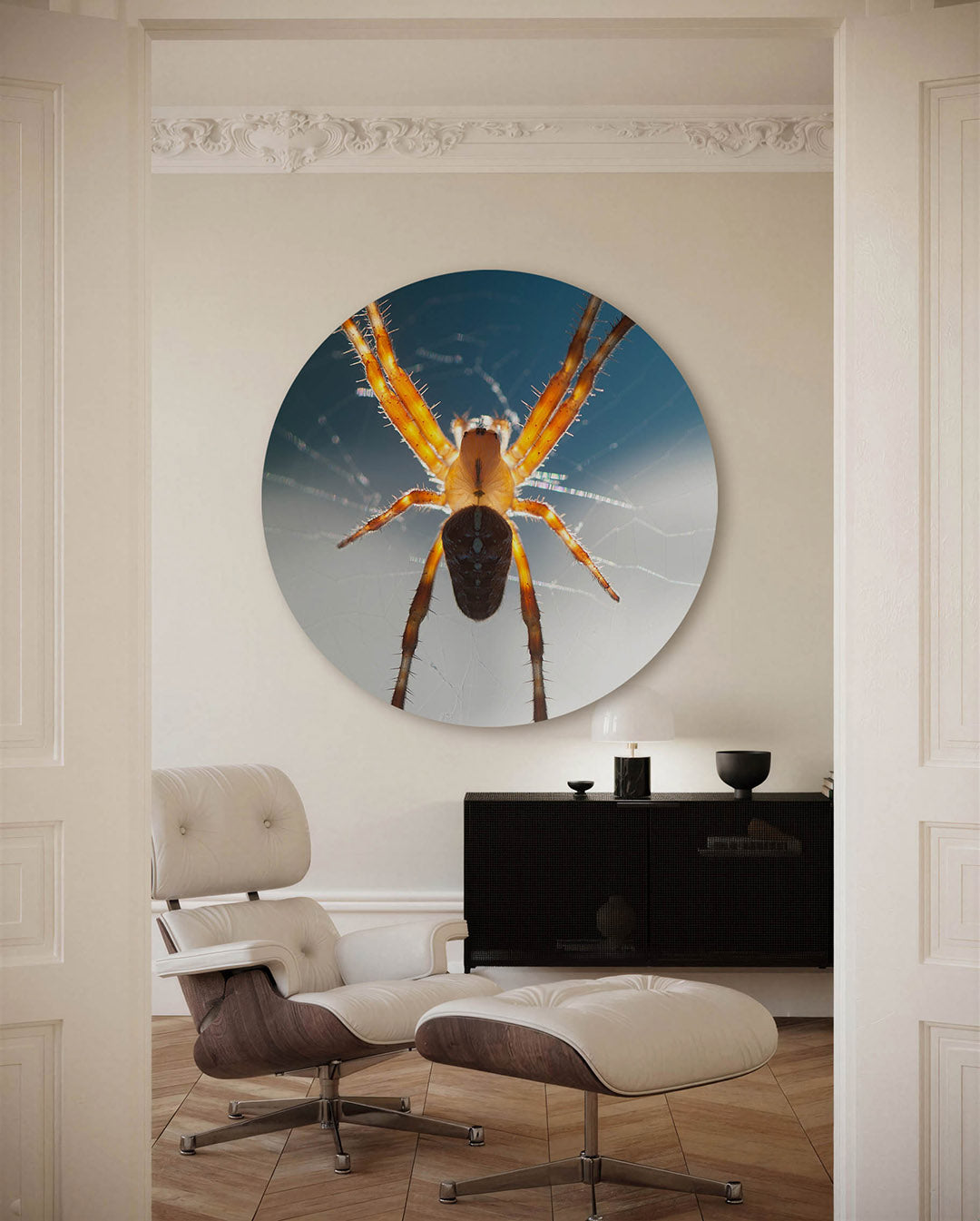 Spin in web – fotografische muurcirkel voor aan de muur