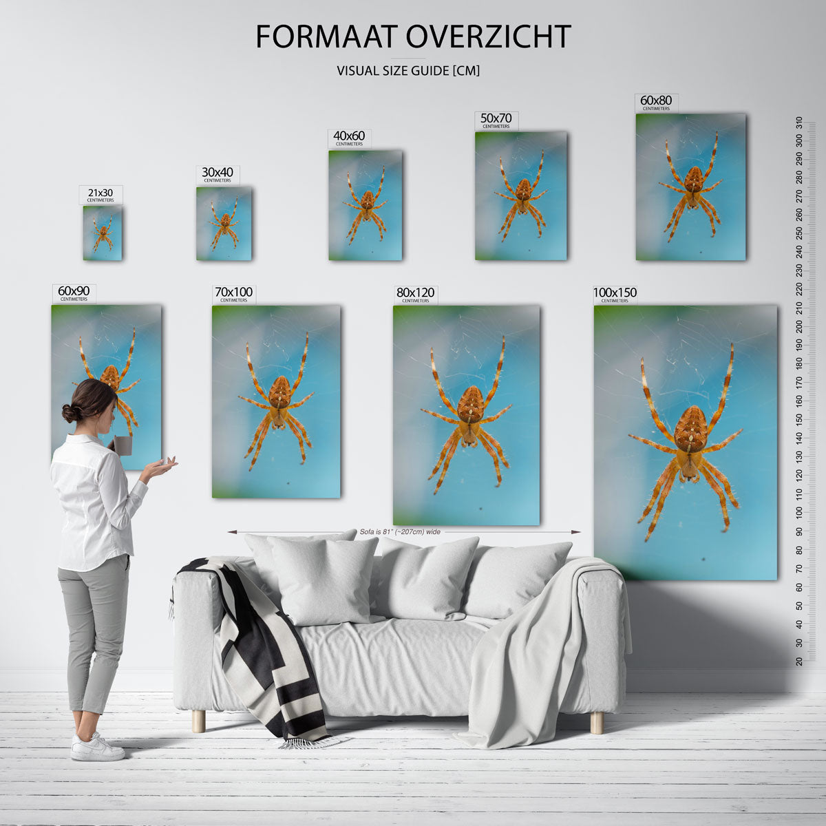 Spin in web poster – sfeerbeeld – deze poster toont een spin die in het midden van zijn web hangt, met een blauwe achtergrond