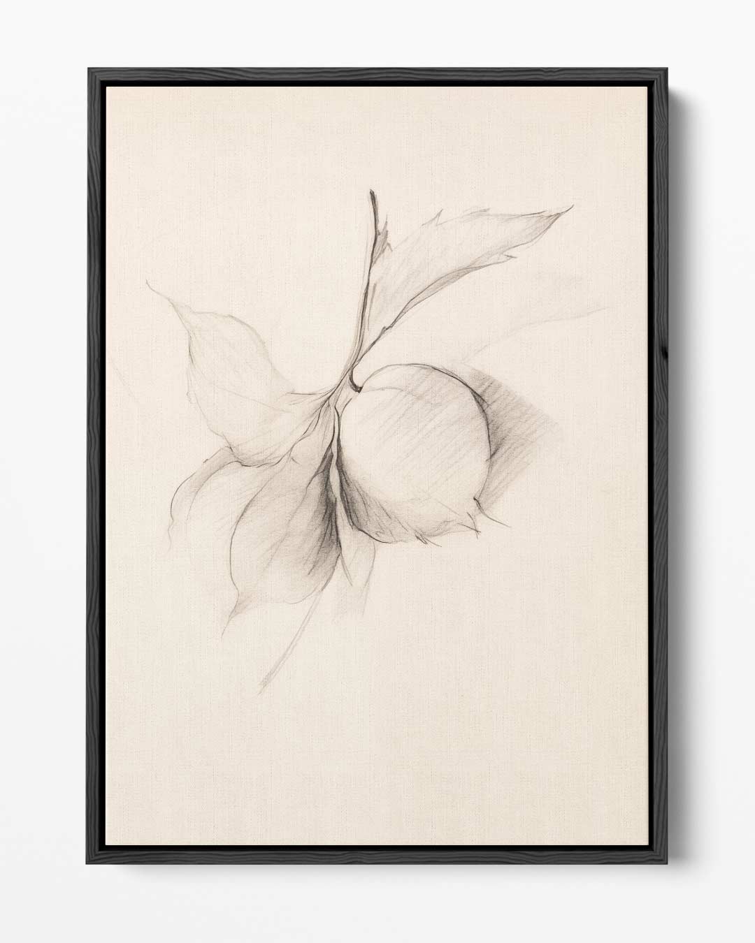 Minimalistische Potloodtekening van Blad en Vrucht – portret kunstwerk als wanddecoratie