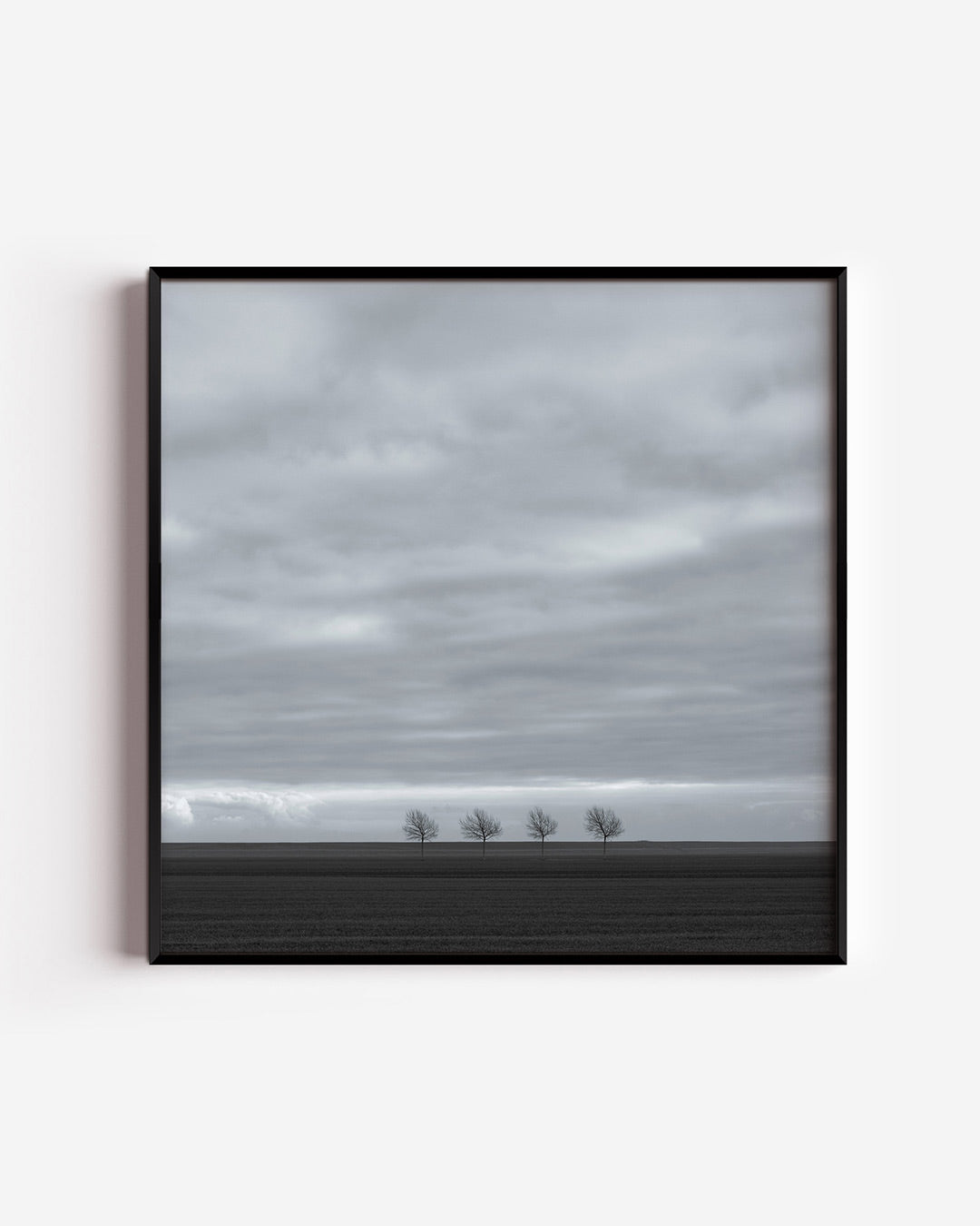 Rustige landschap poster – vierkante wanddecoratie – deze poster toont een serene horizon met vier kale bomen onder een